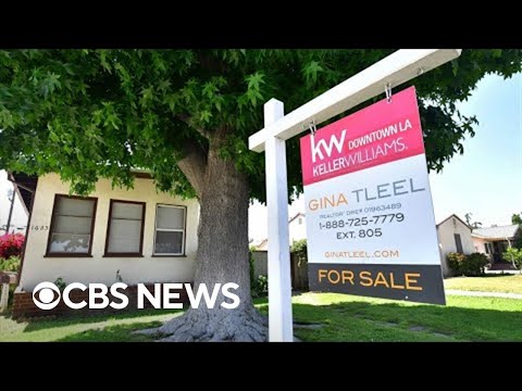 Real property analyst explains the sharp decline in housing sales